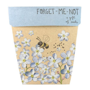 Forget Me Not Web