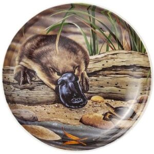 Platypus & Turtle Trinket Dish